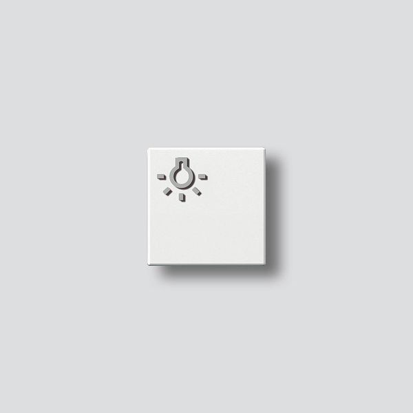TLM 61x-01, BTLM 650-... W Light button with light symbol image 1