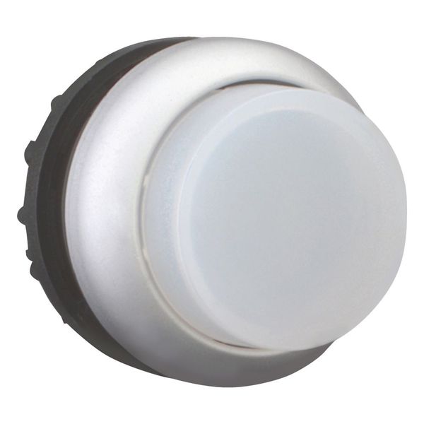 M22-DRLH-W Illuminated pushbutton actuator, RMQ-Titan, Extended, maintained, White, Blank, Bezel: titanium image 13