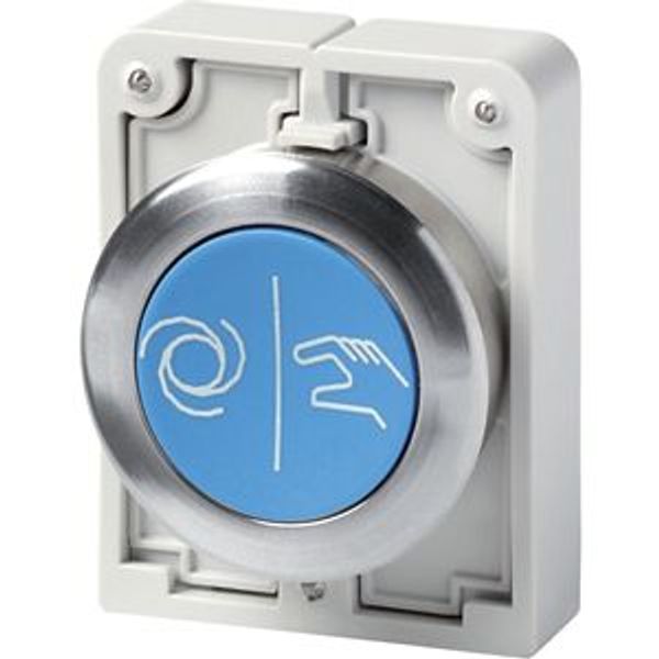 M30C-FD-B-X217 Pushbutton, RMQ-Titan, Flat, momentary, Blue, inscribed, Metal bezel image 2