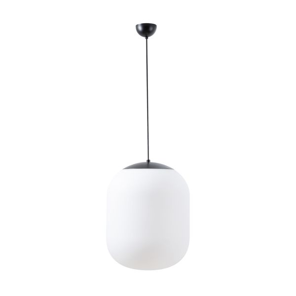 LED-5L06C06ZS11/296/L100 C 4000 image 1