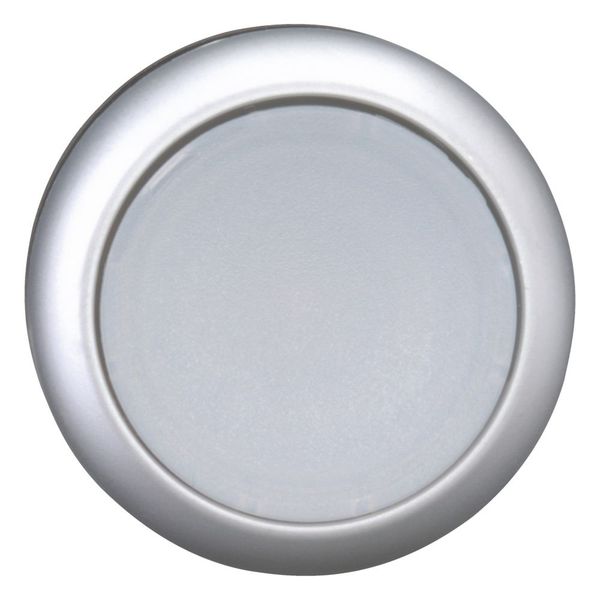 M22-DRL-W Illuminated pushbutton actuator, RMQ-Titan, Flush, maintained, White, Blank, Bezel: titanium image 9