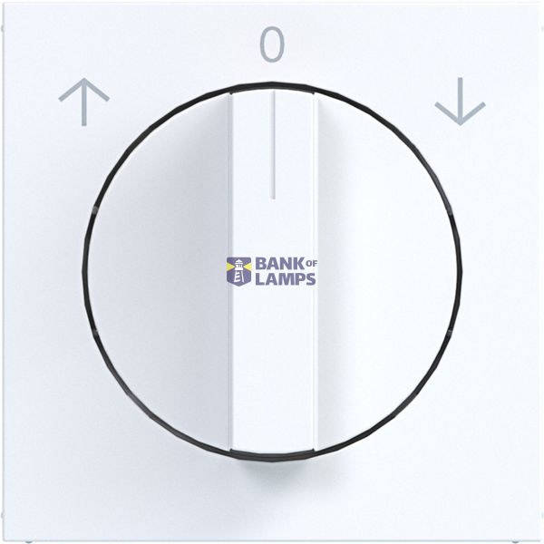 Central plate for rotary blind switch, A.x/C.x, light white glass image 1