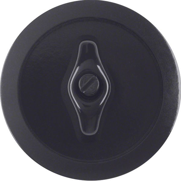 Centre plate toggle, 1930, black glossy image 1