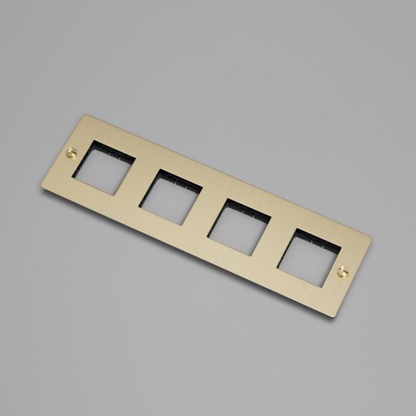 4G WALL PLATE / HORIZONTAL / NO INFILLS / WITHOUT LOGO / BRASS image 1