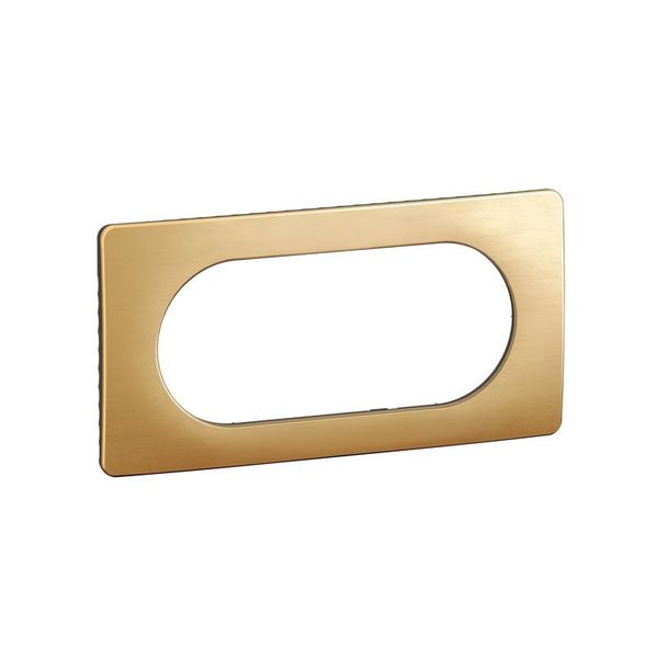PLATE 2G LARGE SATIN BRASS image 2
