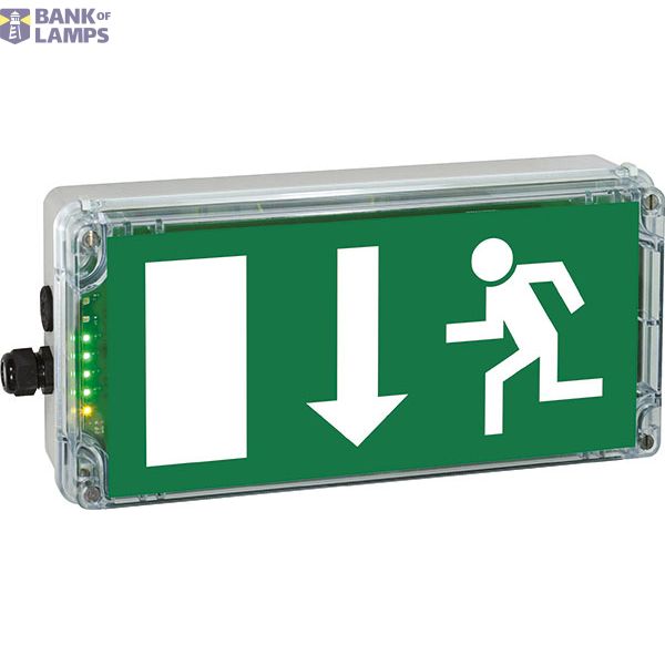 Ex-escape sign luminaires EXIT N with integrated emergency light function for zone 1/21, Pictogram: EN 1838, Arrow: 6 Clock image 3