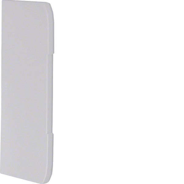 Endcap overlapping for wall trunking BRHN 70x170mm halogen free in lig image 1