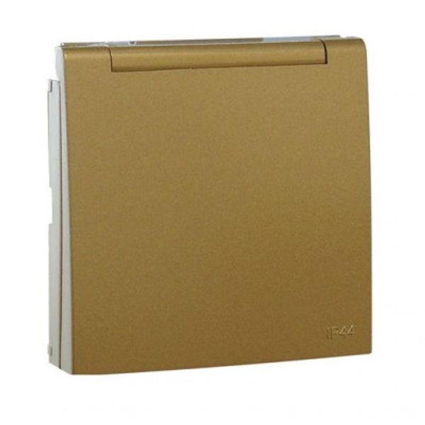 C.PLAT F/SKO SOCK W/SAF & HING LID(IP44) GOLD image 1