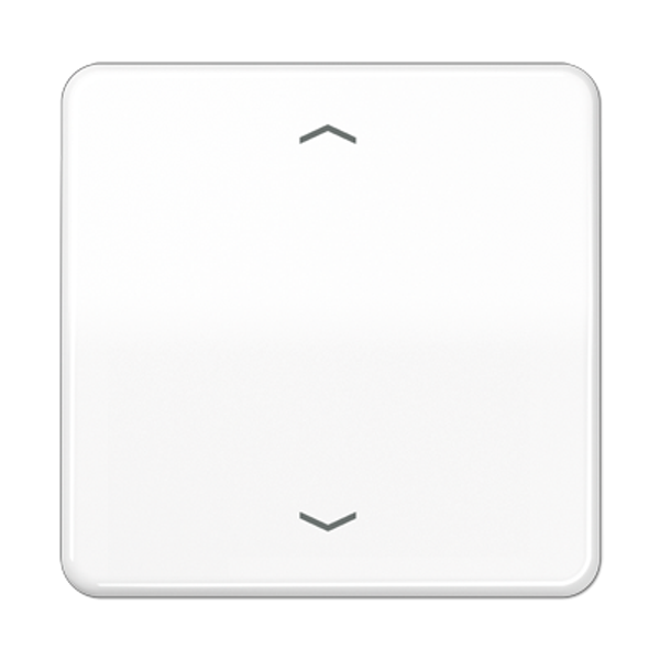 LB Management push-button 1-gang CD1700PWW image 2