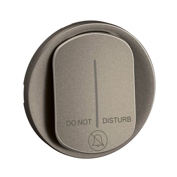 INDICATOR LAMP ROCKER TITANIUM image 5