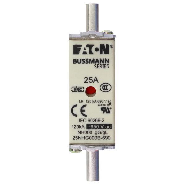 Fuse-link, LV, 25 A, AC 690 V, NH000, gL/gG, IEC, dual indicator, live gripping lugs image 9