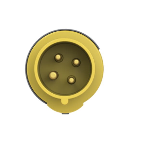 316EP4 Industrial Plug image 2