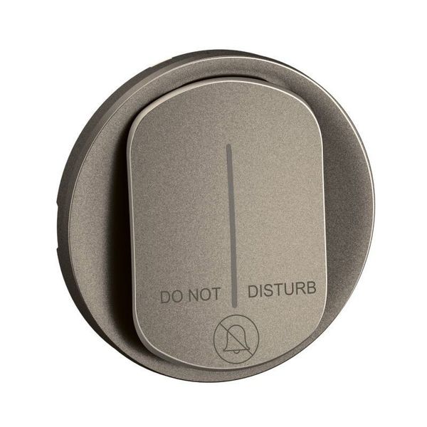 INDICATOR LAMP ROCKER TITANIUM image 2