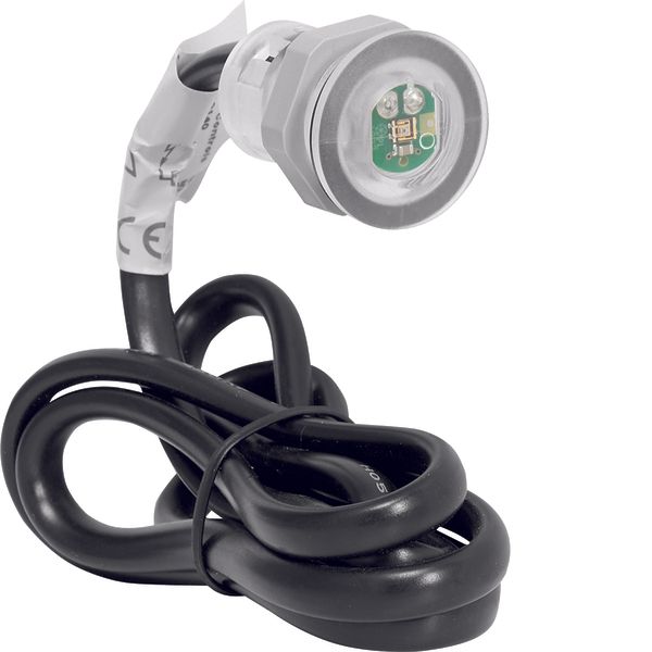 Cell for light sensitive switch image 1