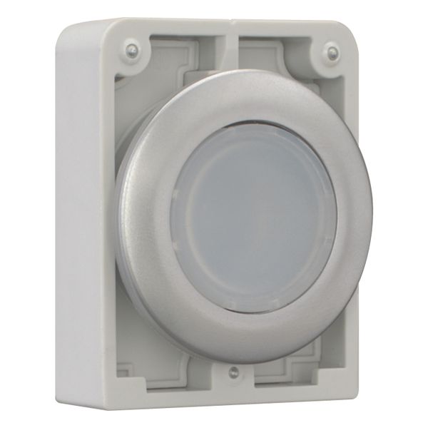 M30C-FDRL-W Illuminated pushbutton actuator, RMQ-Titan, Flat, maintained, White, Blank, Metal bezel image 7