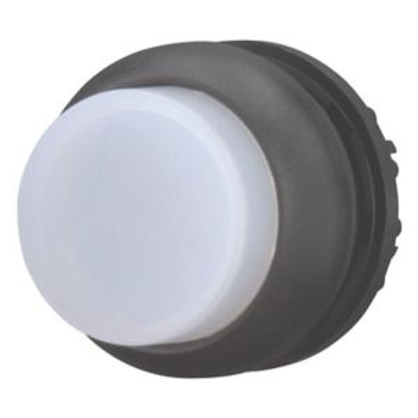 M22S-DRLH-W Illuminated pushbutton actuator, RMQ-Titan, Extended, maintained, White, Blank, Bezel: black image 8