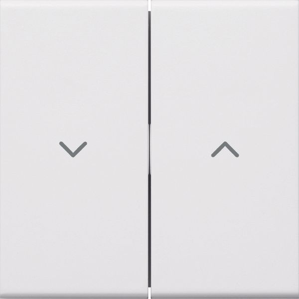 Rocker 2-gang for jalousie switch for frontplate 55 halogen free traff image 2