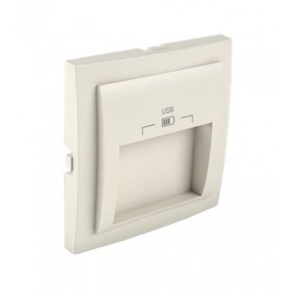 C PLATE DOUB USB CHARG TYPE A 20° OUTPUT IV image 1