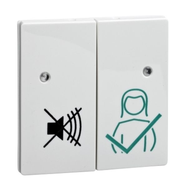 Sensing surface for duty room unit (SIGMA) JOY pure white image 1