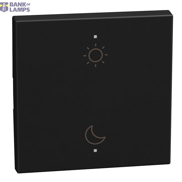 LIGHT NOW KEY COVER DAY-NIGHT 2 MODULE MATT DARK image 1