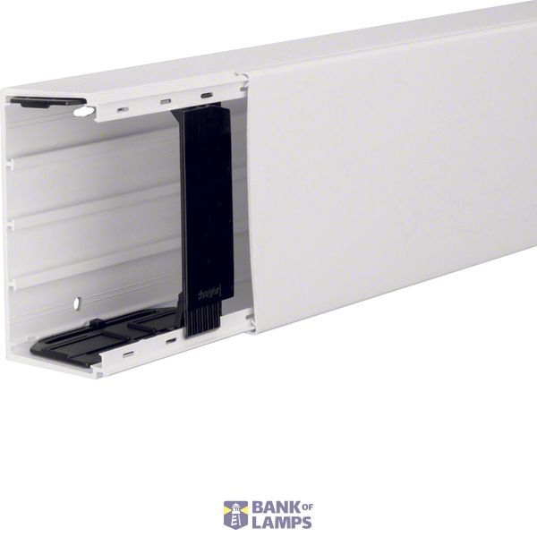 Distribution trunking outside, 60x110,pw image 1