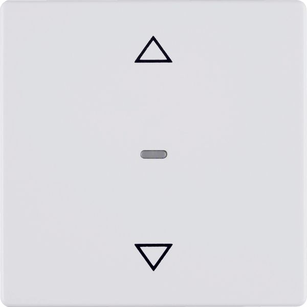 Shutter push-button, Q.1/Q.3, p. white velvety image 2