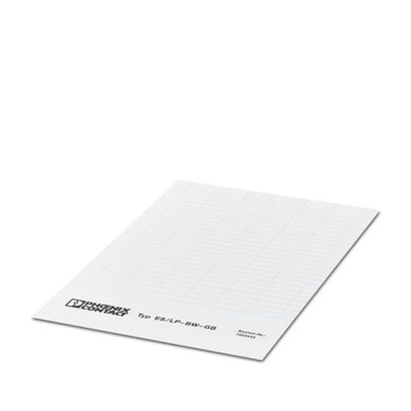 ES/LP-BW-GB CUS - Insert strip image 3