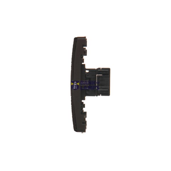 Double loudspeaker socket, module, graphite mat image 1