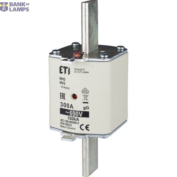 NH2 gG 300A/690V image 1