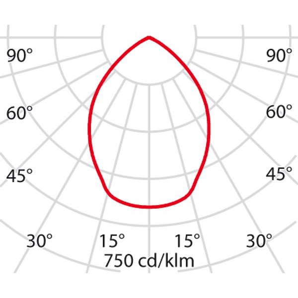 DL ROUND MIDI 12 C/EW 840 ALU DALI image 4
