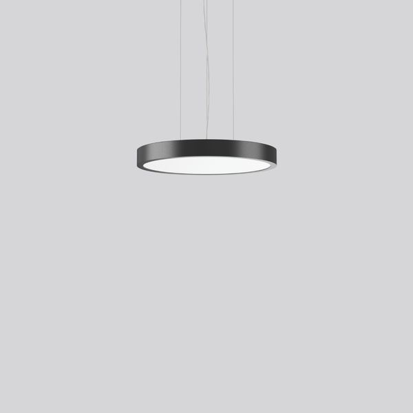 TRIONA round, 64 W, 5850 lm, 830, anthracite, DALI Pendant luminaires, image 2