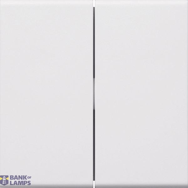 Rocker 2-gang Switch/Button, pw image 2