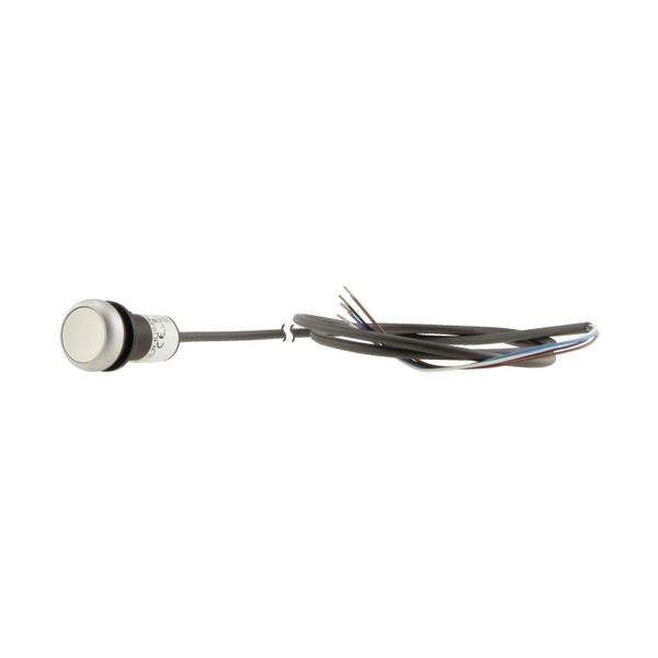 C22-DR-W-K10-P65 Pushbutton, classic, flat, maintained, 1 N/O, white, cable (black) with non-terminated end, 4 pole, 3.5 m image 12