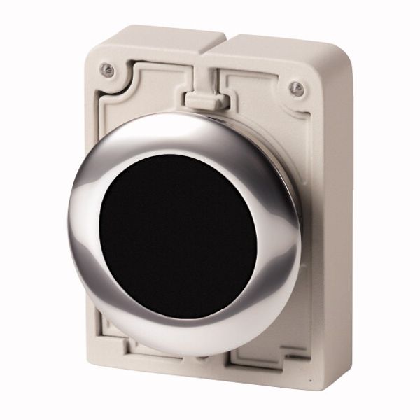 M30C-FD-S Pushbutton, RMQ-Titan, Flat, momentary, black, Blank, Metal bezel image 1
