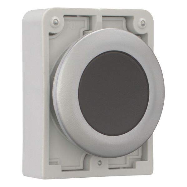 M30C-FD-S Pushbutton, RMQ-Titan, Flat, momentary, black, Blank, Metal bezel image 13