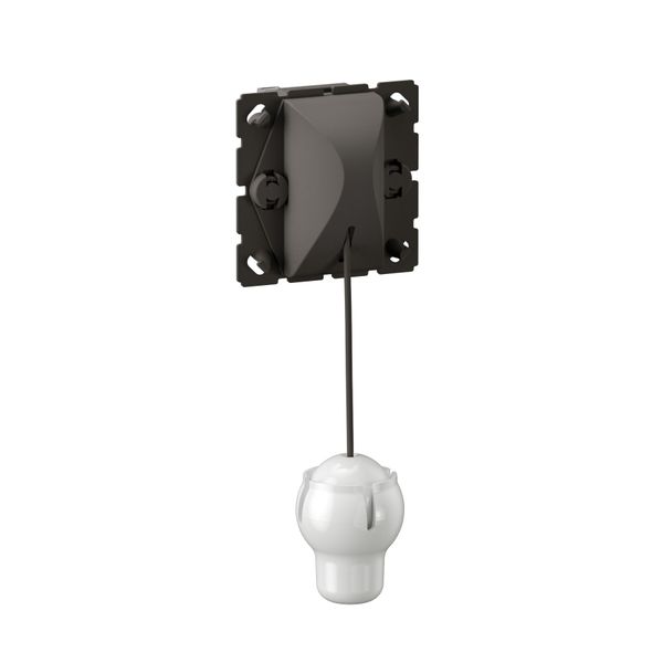 6A 2 WAYS PULL-CORD PUSH BUTTON image 3