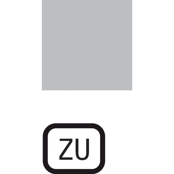 153LQ25 Insert label, transparent, TO image 3