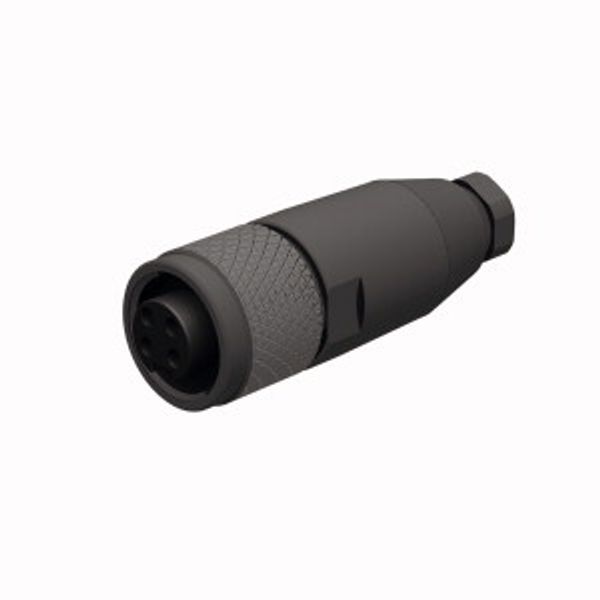 Field-Wireable Connector 7/8″ Female, Straight   BK4140-0/9 image 2