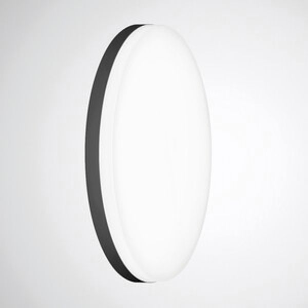 Mechanical accessories Olisq R Black 8271100 image 1