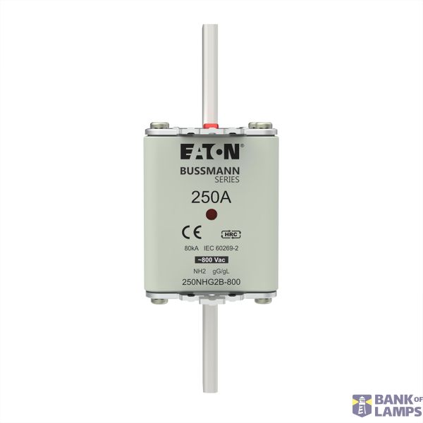 Fuse-link, LV, 250 A, 800 V AC, NH2, Class gG/gL image 5