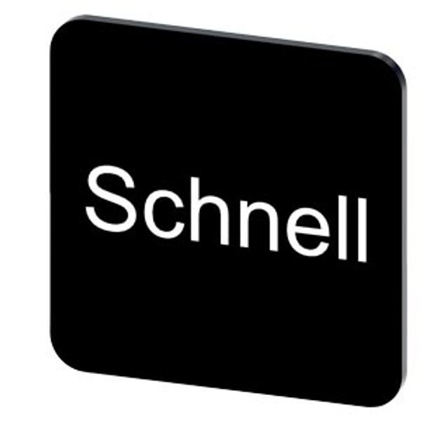 Labeling plate 22 x 22 mm, label black, labeling: schnell image 1
