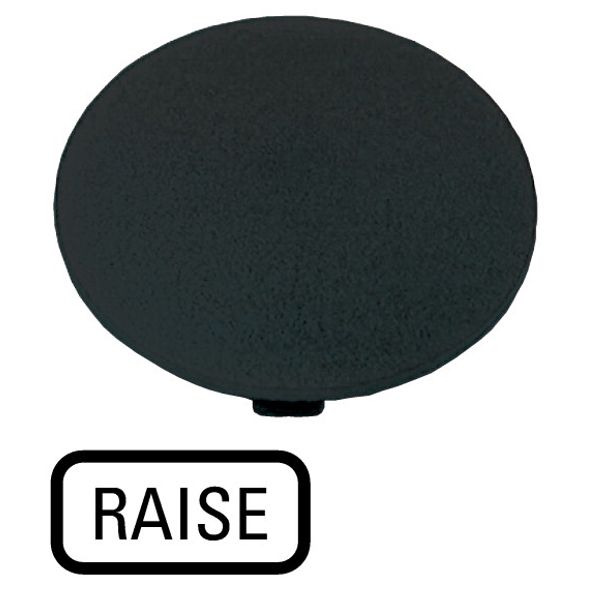 M22-XDP-S-GB17 Button plate, mushroom black, RAISE image 1