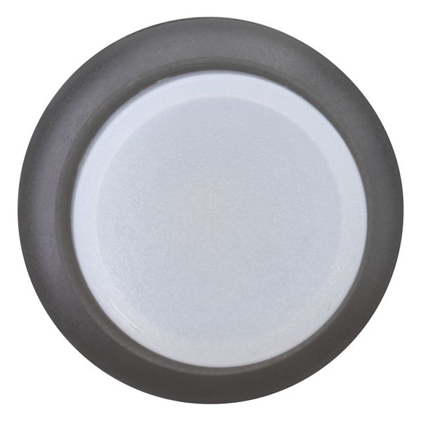 M22S-DRLH-W Illuminated pushbutton actuator, RMQ-Titan, Extended, maintained, White, Blank, Bezel: black image 3