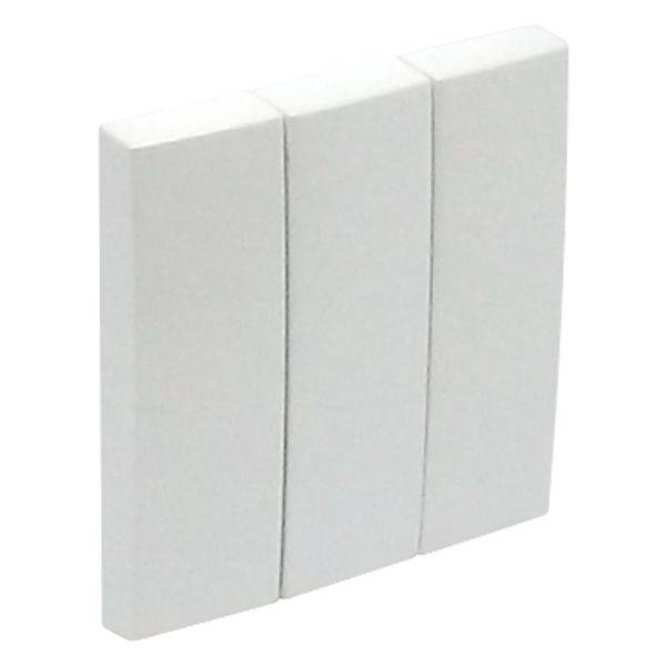 TRIPLE ROCKERS ICE image 1