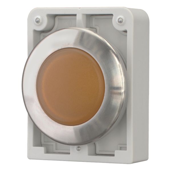 M30I-FL-A Indicator light, RMQ-Titan, flat, orange, Front ring stainless steel image 2
