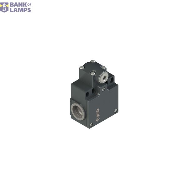 Position switch for rotating levers image 1