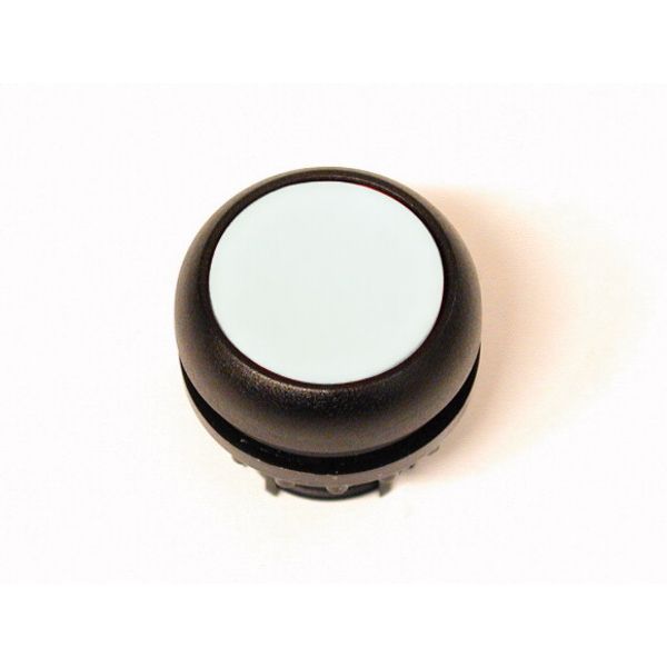 M22S-DR-W Pushbutton, RMQ-Titan, Flat, maintained, White, Blank, Bezel: black image 1
