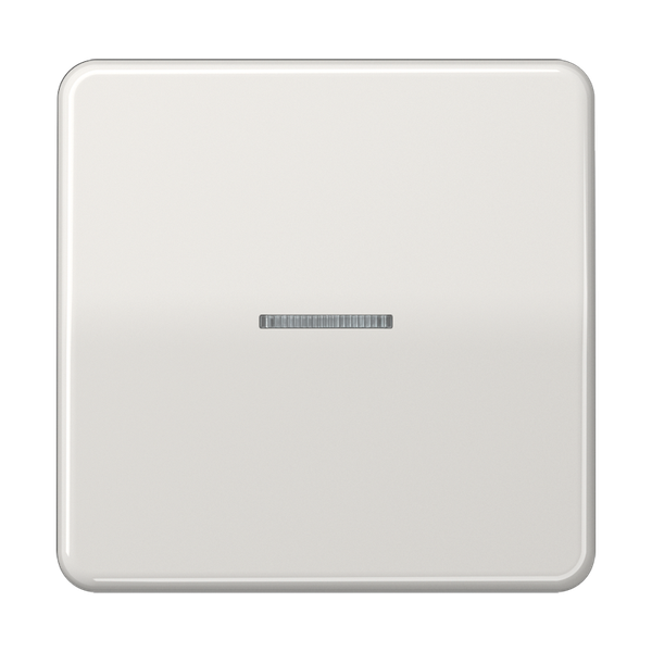 JUNG HOME push-button 1-gang BTCD17101LG image 1