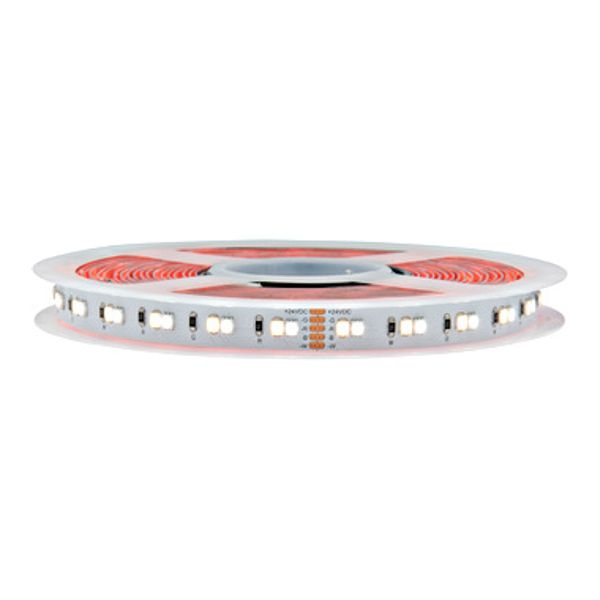 LED Flexstrip 80 ECO RGB Warm White - IP20 - CRI/RA 90+ image 1