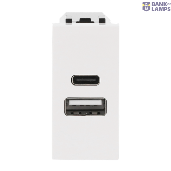 N2185.3 BL USB CHARGER A+C 10.5W -1M image 1